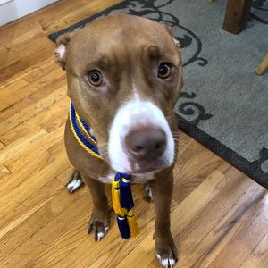 Meet your Posher, Ellissa